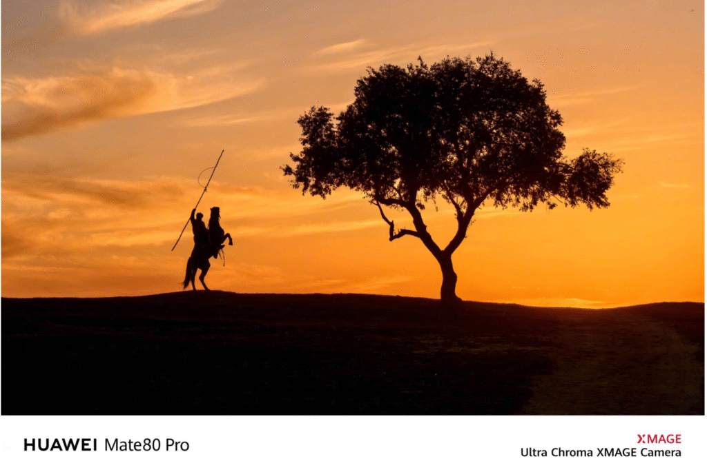 نمونه عکس پرتره از دوربین هواوی میت ۸۰ با دقت رنگ بالا