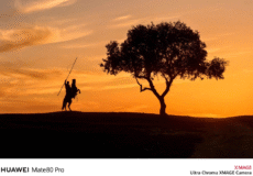 نمونه عکس پرتره از دوربین هواوی میت ۸۰ با دقت رنگ بالا