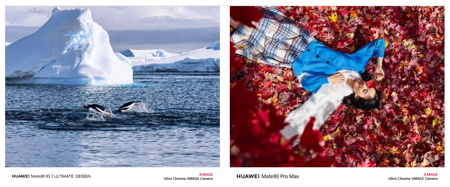 نمونه عکس پرتره از دوربین هواوی میت ۸۰ با دقت رنگ بالا